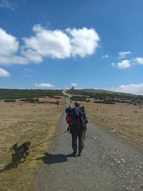 Szukam bratniej duszy