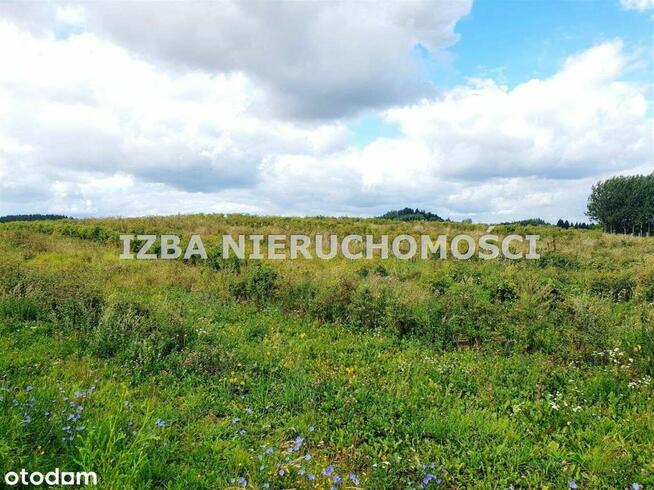 Działka, 3 000 m², Chruściele