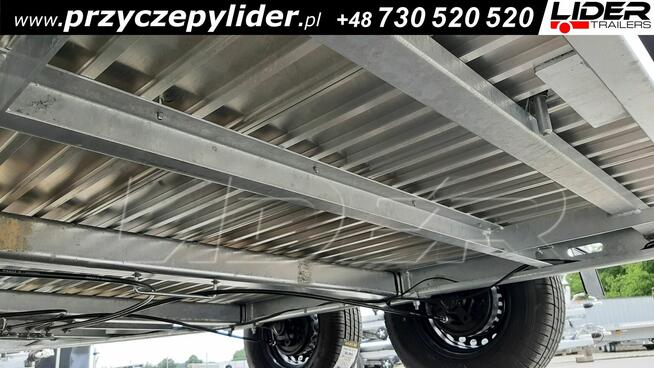 CL-17C Cheval Liberte GOLD ORIGINS przyczepa dla koni