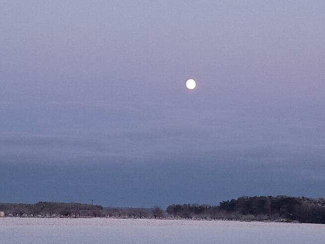 Szukam bratniej duszy