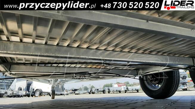 CL-19ZB Cheval Liberte GOLD ORIGINS PREM przyczepa dla koni