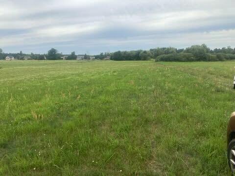 Sprzedam łąkę