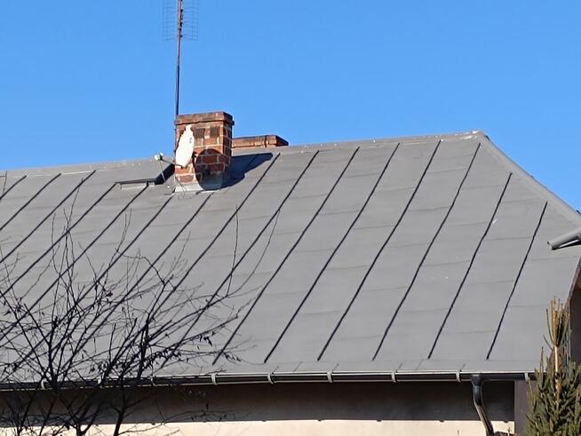 Dachy od A do Z. Docieplenia, murowanie brukarskie usługi..