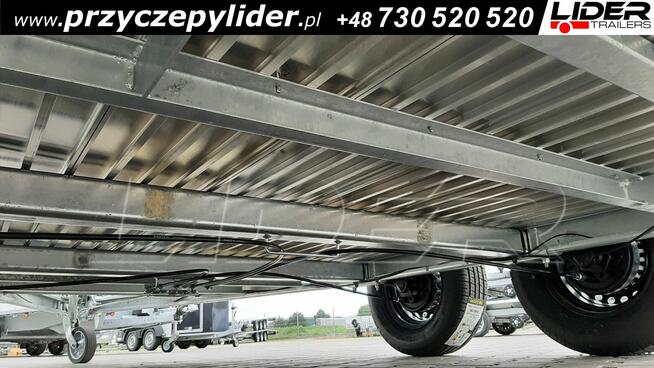 CL-17C Cheval Liberte GOLD ORIGINS przyczepa dla koni