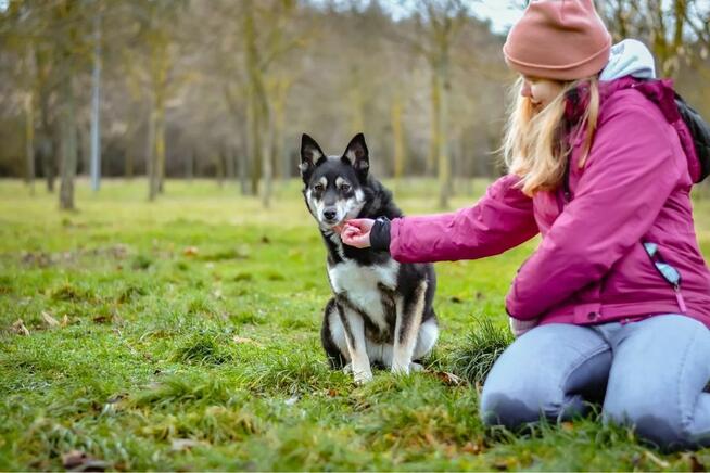 Rubinka-delikatna nieśmiala suczka czeka na wyrozumialy dom