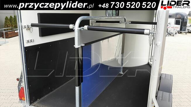 CL-15BS Cheval Liberte GOLD ORIGINS PREM przyczepa dla koni