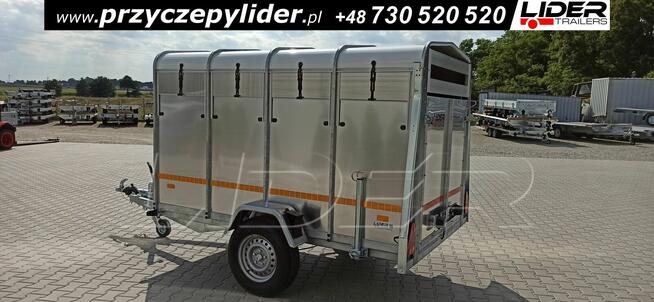 NW-008 przyczepa 258x140x148cm, do bydła, zwierząt