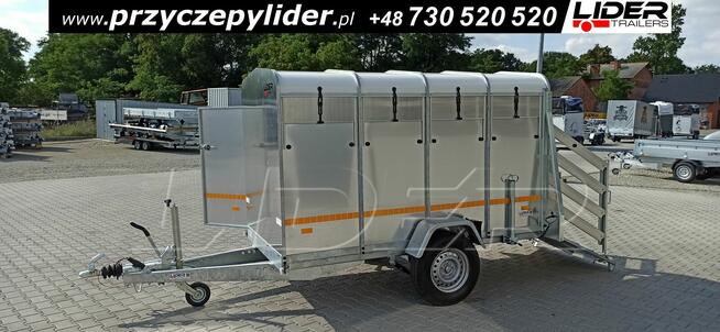 NW-008 przyczepa 258x140x148cm, do bydła, zwierząt