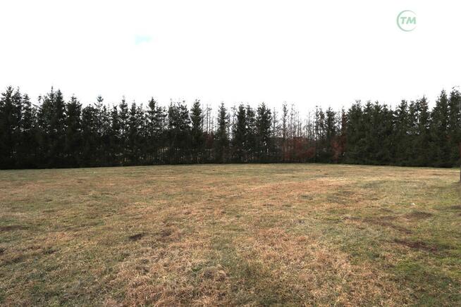 Brojce 2 domy, działka ponad 7000 m2. Hossoland!