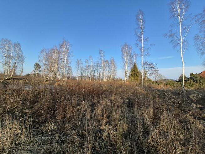 Działka budowlana Wiązowna