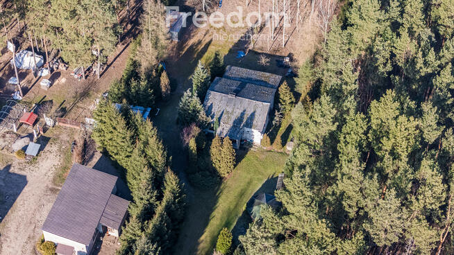 Działka leśna 3500m² z domkiem do remontu