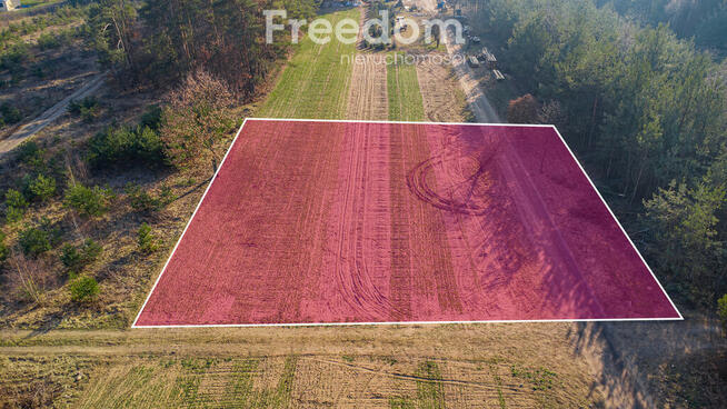 Piękna działka 1500 m2 w Grzegorzewicach