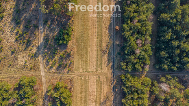 Piękna działka 1500 m2 w Grzegorzewicach