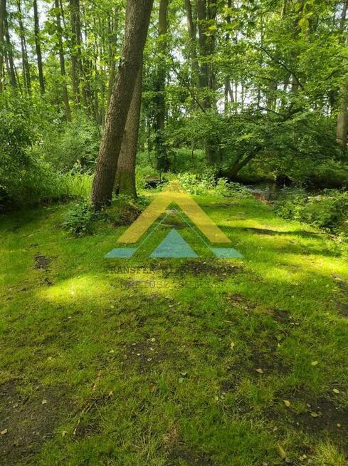 Ładny wolnostojący dom z ogródkiem 380 tys.!