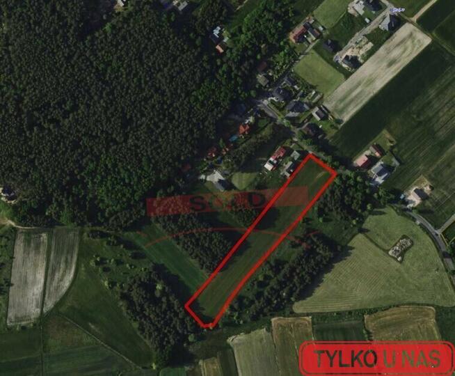 SZCZEDRZYK/Bardzo duża budowlana 1,02 hektara