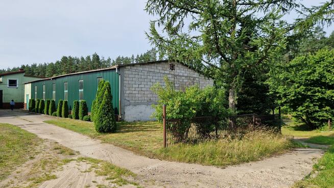 Lokal użytkowy Dębnica Kaszubska, Polna