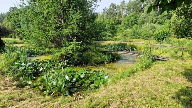 Lokal użytkowy Dębnica Kaszubska, Polna
