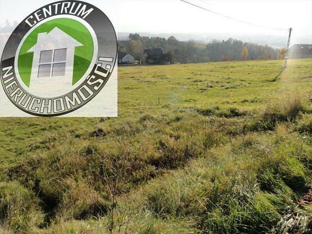 Działka budowlana Wielogłowy gm. Chełmiec