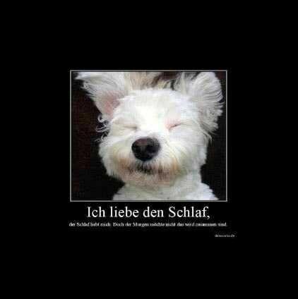 Korepetycje z Języka Niemieckiego dla dzieci i młodzieży:)