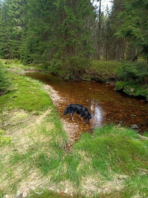 Kochanie zabierz z miasta mnie