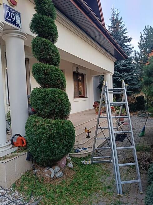 Usługi ogrodnicze Odnawianie Zakładanie Trawnik z rolki