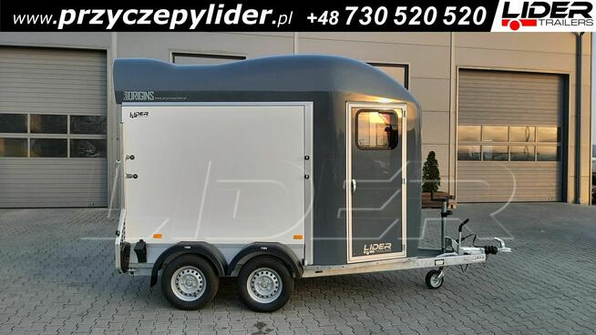 CL-19SSB Cheval Liberte GOLD ORIGINS PREM przyczepa dla koni