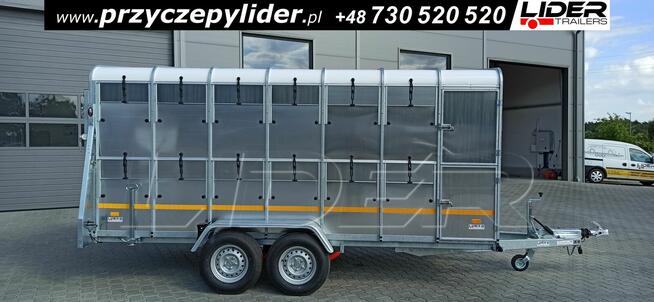 NW-017A przyczepa 430x177x186cm, do bydła, zwierząt