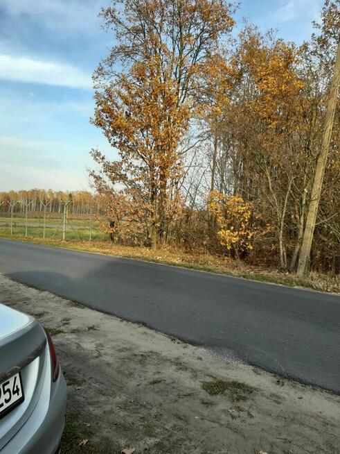 Działka rolno-leśna w Łodzi