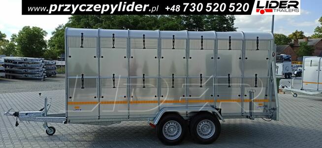 NW-017A przyczepa 430x177x186cm, do bydła, zwierząt