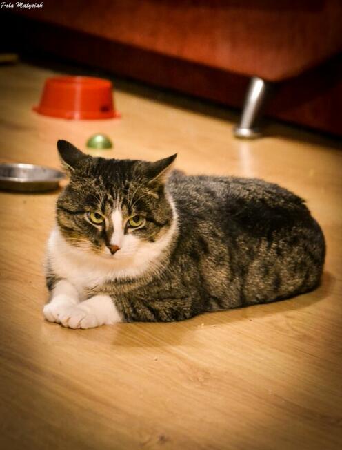 Farciarz został wyrzucony na ruchliwą ulicę wiodącą przez la