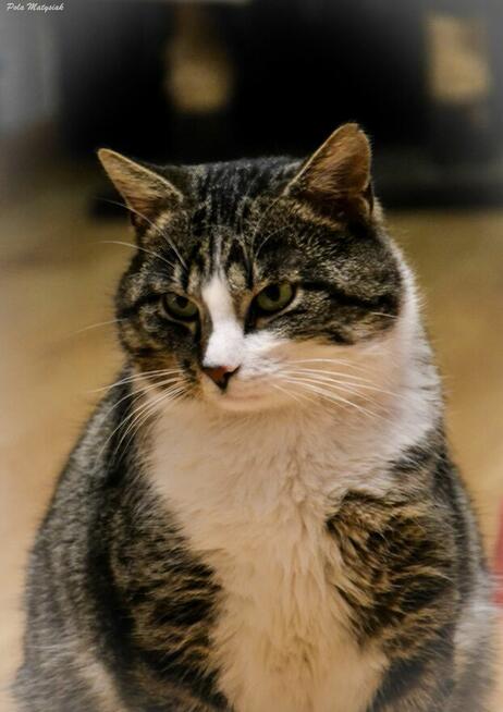 Farciarz został wyrzucony na ruchliwą ulicę wiodącą przez la