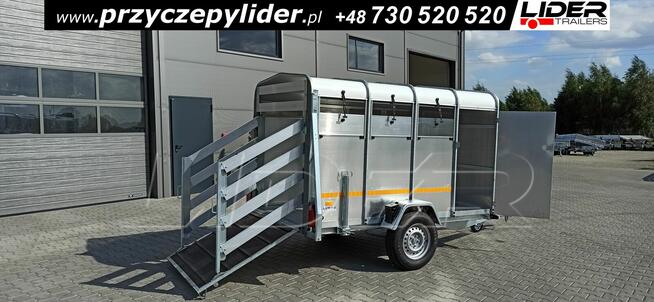 NW-008 przyczepa 258x140x148cm, do bydła, zwierząt