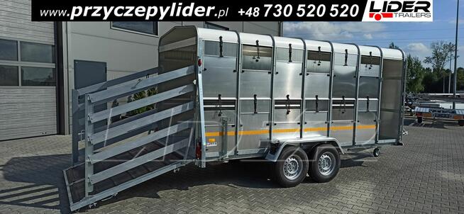 NW-017A przyczepa 430x177x186cm, do bydła, zwierząt