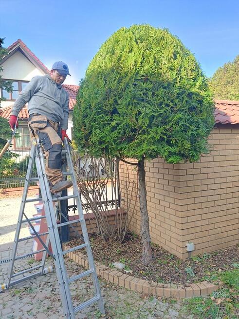 Usługi ogrodnicze Odnawianie Zakładanie Trawnik z rolki