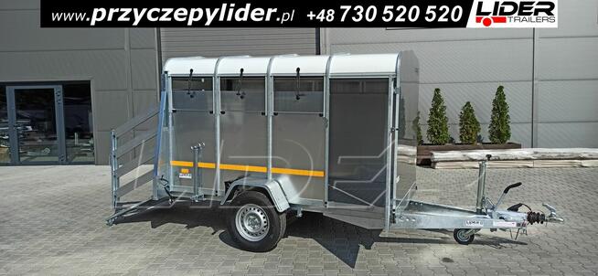 NW-008 przyczepa 258x140x148cm, do bydła, zwierząt