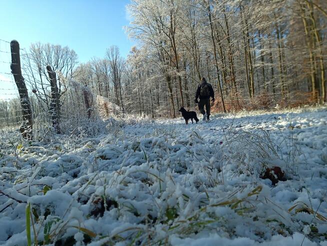 Szukam bratniej duszy