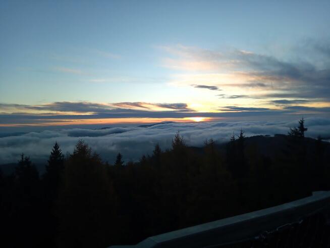 Szukam bratniej duszy