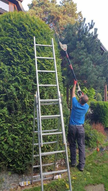 Usługi ogrodnicze Odnawianie Zakładanie Trawnik z rolki