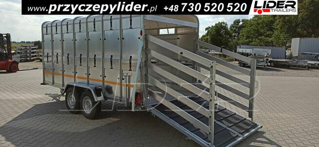 NW-017A przyczepa 430x177x186cm, do bydła, zwierząt