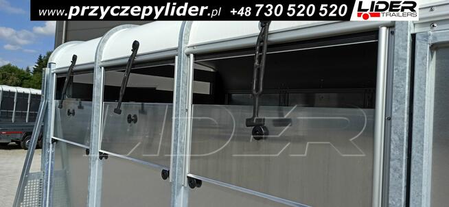 NW-008 przyczepa 258x140x148cm, do bydła, zwierząt