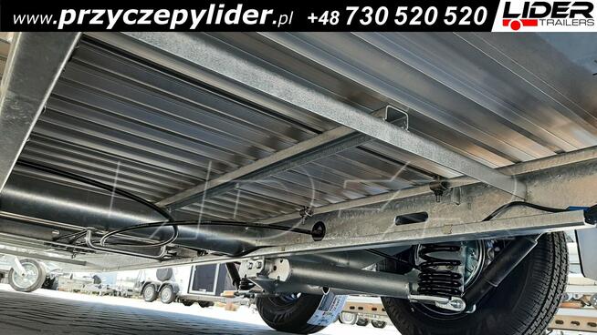 CL-10BB Cheval Liberte GOLD ONE PPL przyczepa dla koni