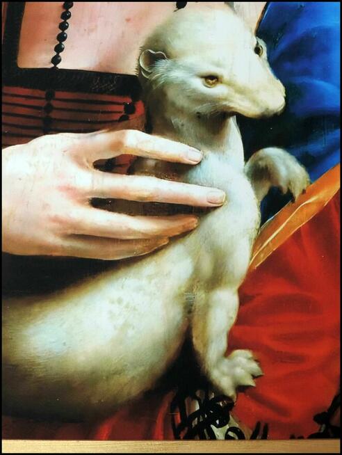 Obraz na płótnie - Dama z gronostajem, Vinci, 50x70cm