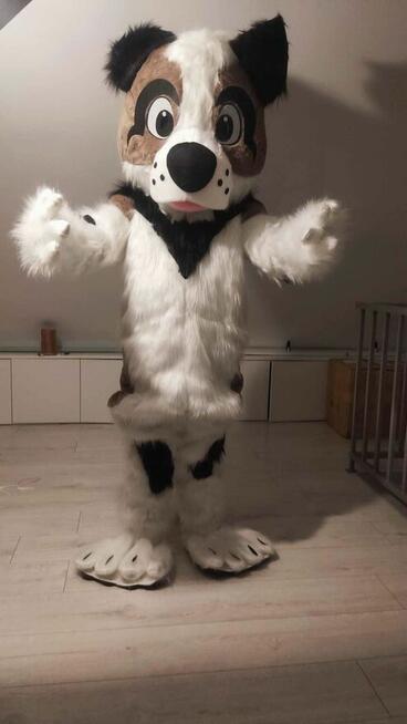 Wynajem Biały Miś - Strój reklamowy, żywa maskotka