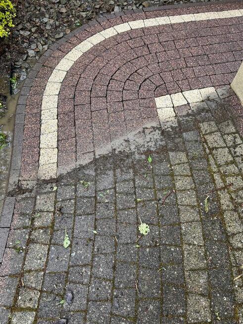 Czyszczenie kostki brukowej TARNÓW impregnacja Talerz