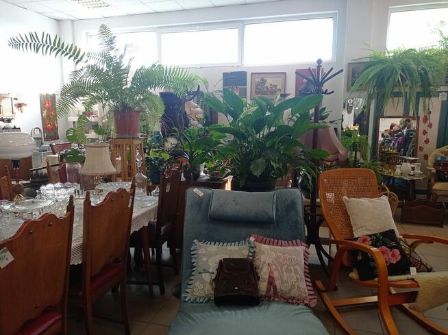 PEREŁKI Z DRUGIEJ RĘKI poszukują właściciela