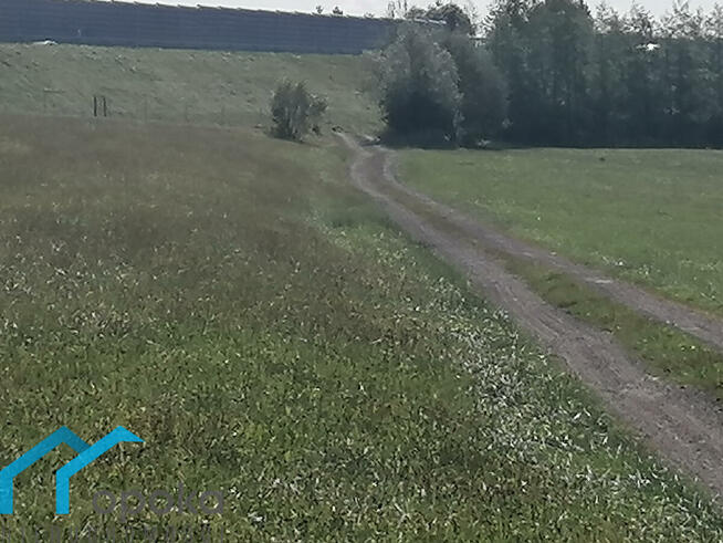 Działka rolna Łączka gm. Dębowiec, Wierzbowa