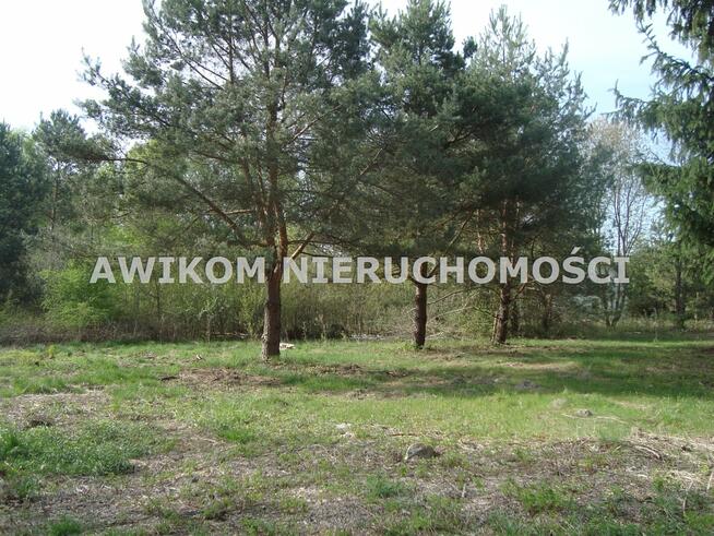 Działka budowlana Szczęsne gm. Grodzisk Mazowiecki