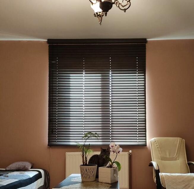 Żaluzje drewniane i bambusowe 50 i 25 mm