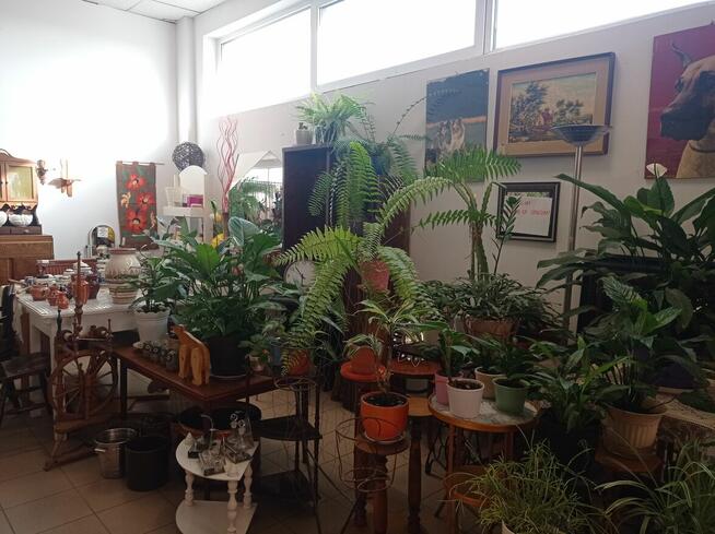 PEREŁKI Z DRUGIEJ RĘKI poszukują właściciela