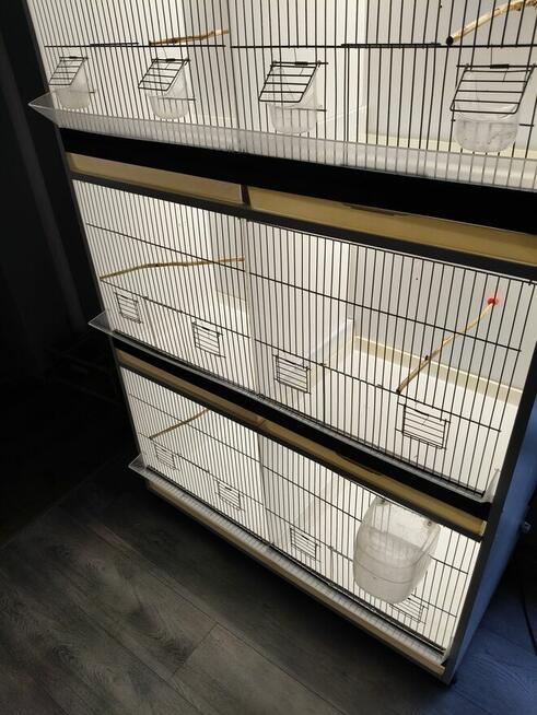 Witam mam do sprzedania regał na ptaki